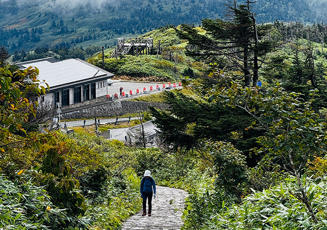 八幡平山頂遊步道