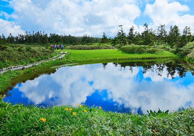 八幡平山頂遊步道