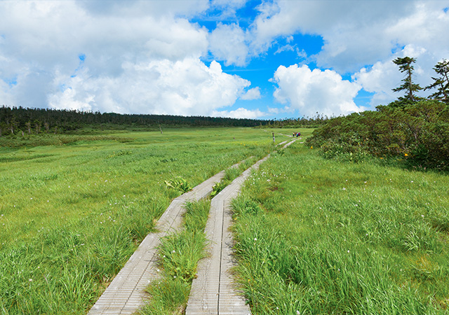 八幡平山頂遊步道