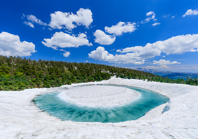 八幡平山頂遊步道