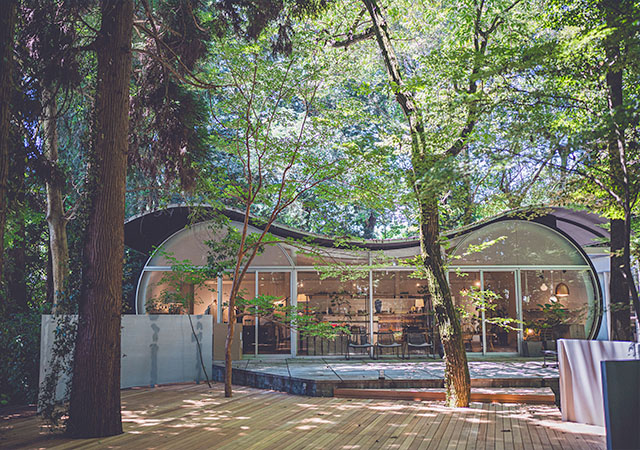 阿蘇山麓下的棲心林苑