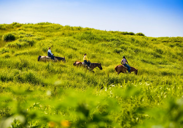 阿蘇El Patio牧場