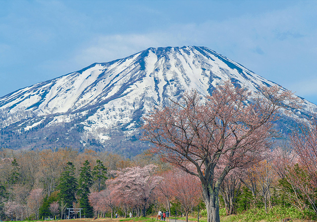 真狩神社