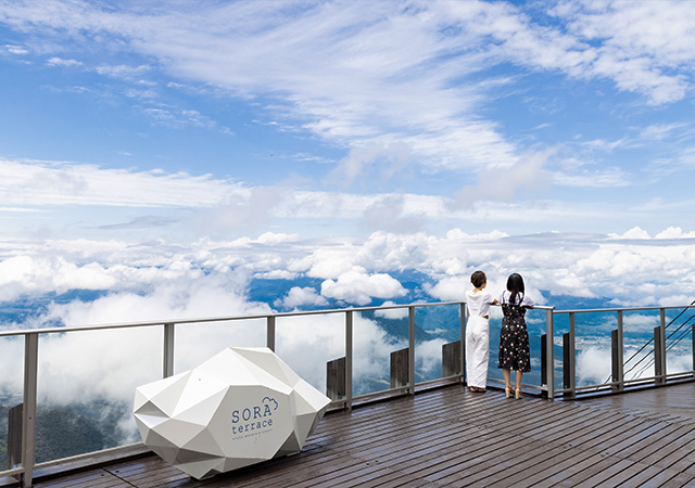 SORA terrace