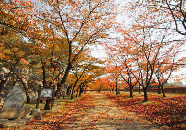 盛岡城跡公園