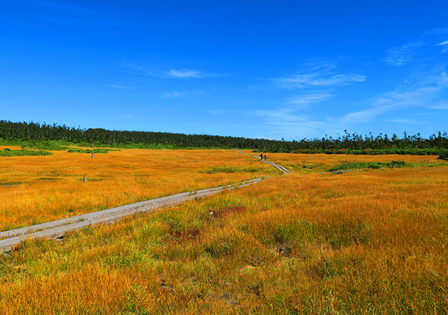 八幡平山頂遊步道