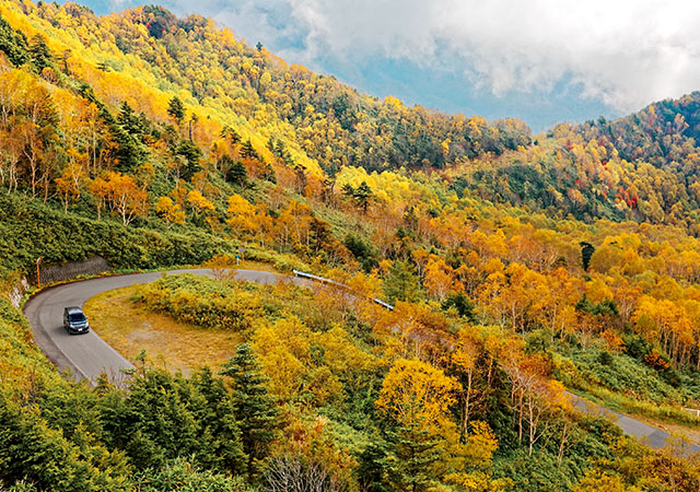 志賀草津高原道路