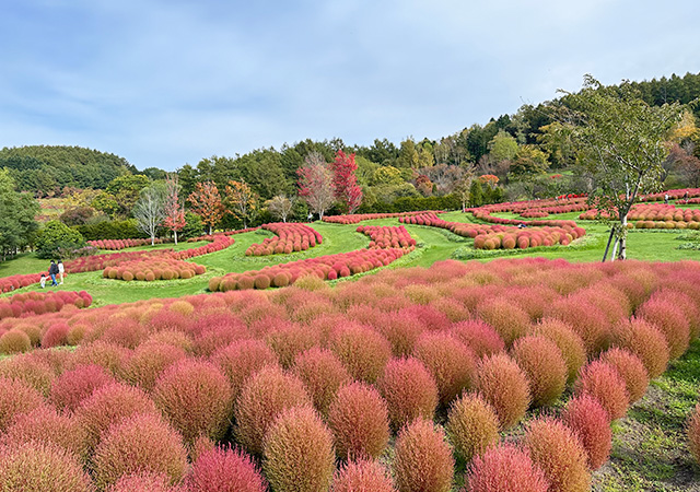 由仁花園