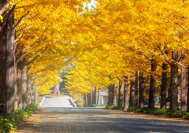 吾妻綜合運動公園