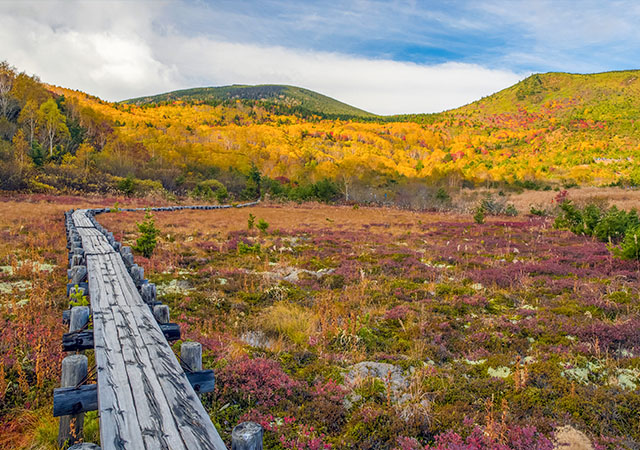 淨土平濕原散策