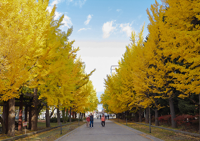 中島公園