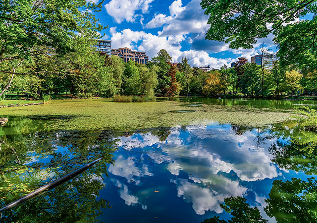 哈利法克斯公共花園Halifax Public Gardens