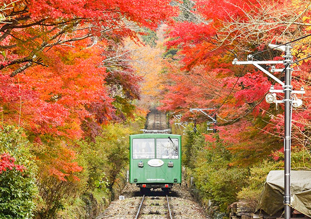 筑波山路面登山纜車
