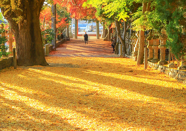 積田神社