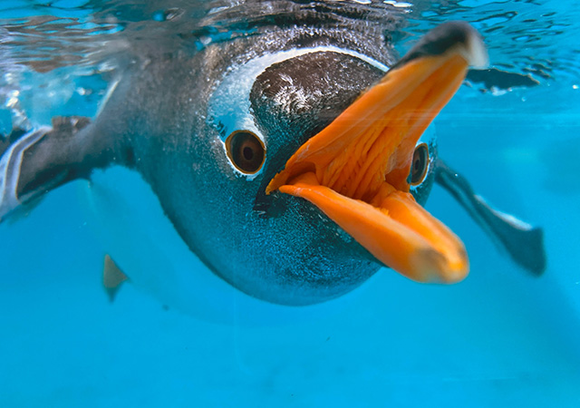 小樽水族館