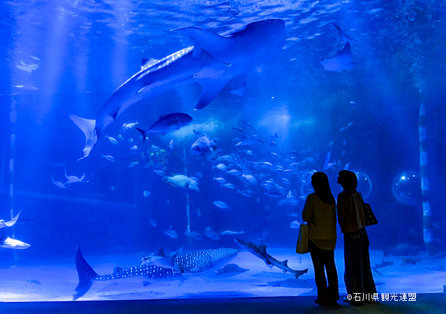 能登島水族館