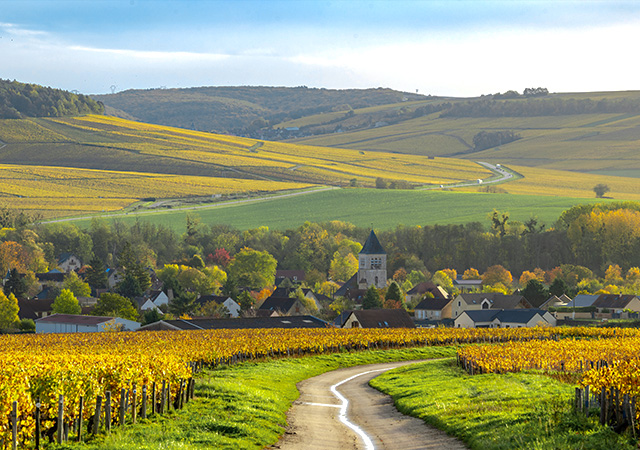 夏布利Chablis
