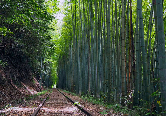 舊線鐵道