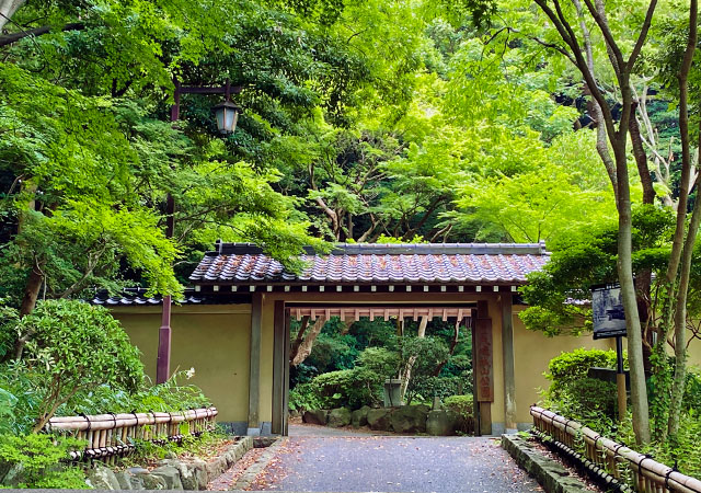 大磯城山公園