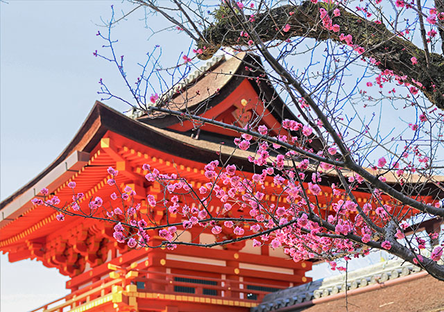 春日大社