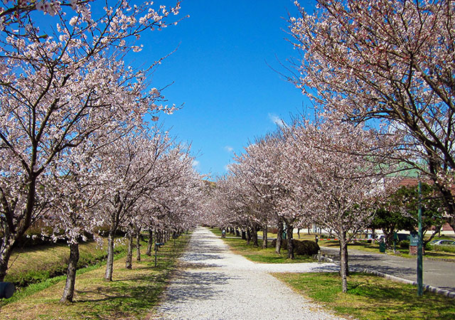鏡野公園