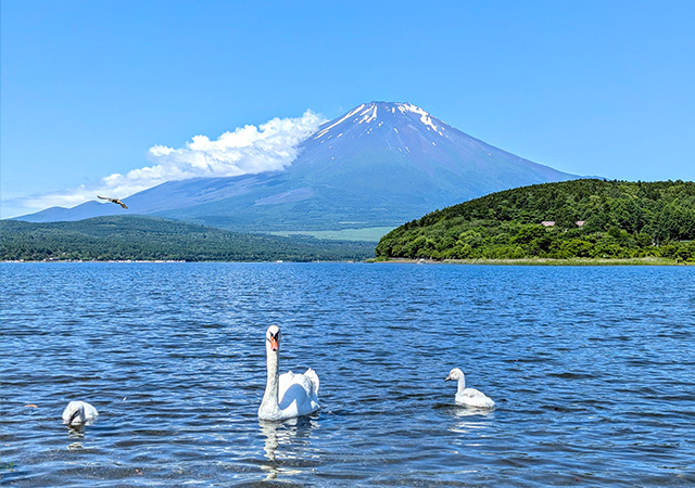 山中湖