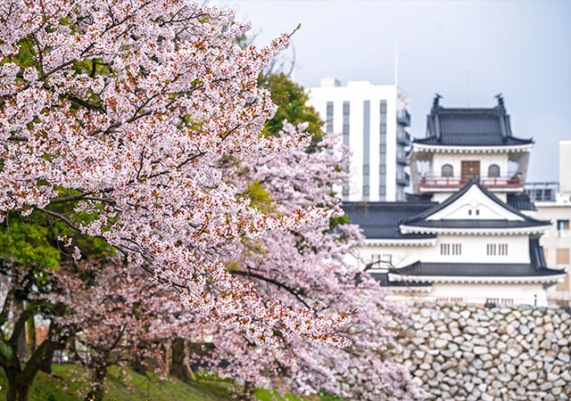富山城址公園