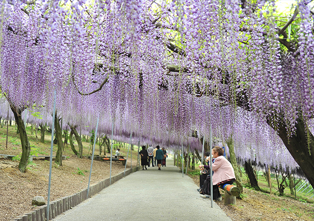 千財農園