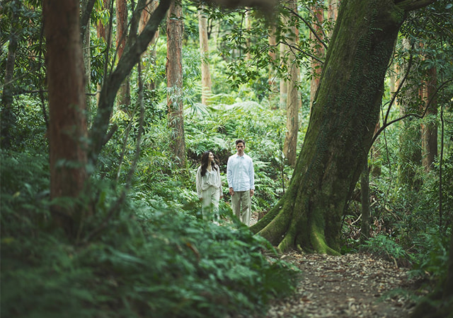 屋久島千尋雲水天籟五／六日