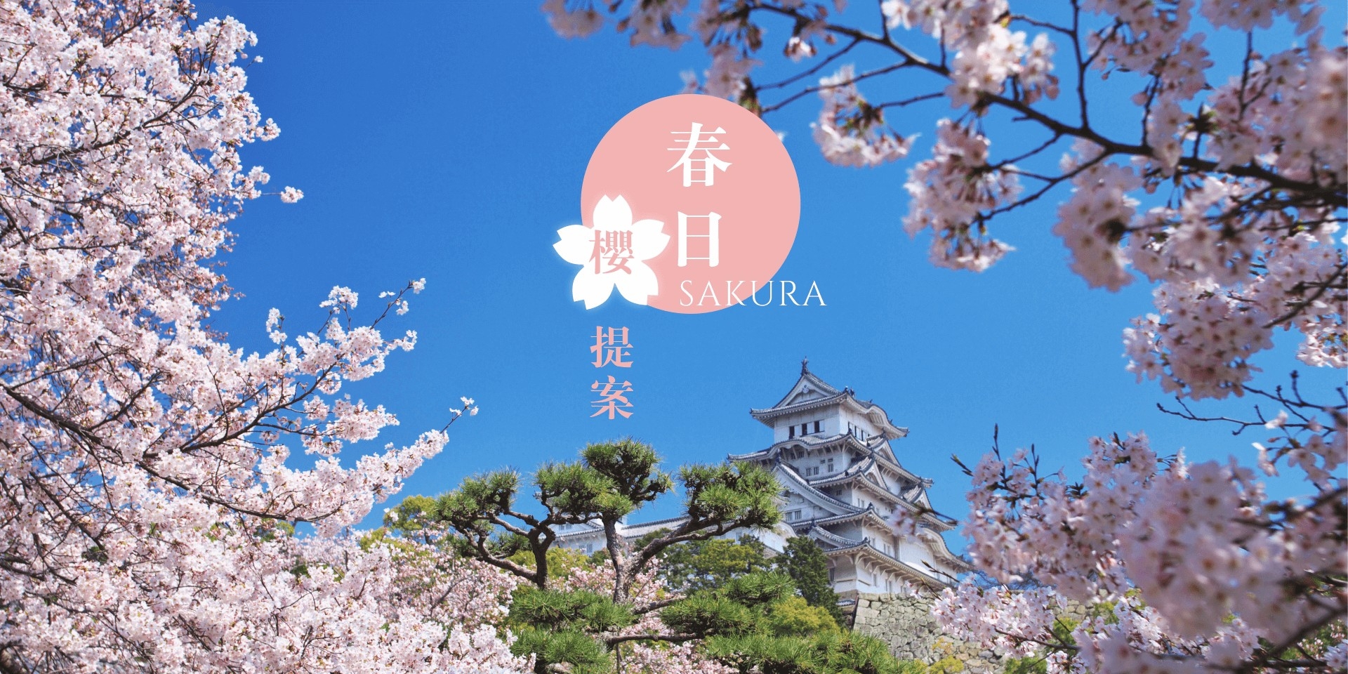 連假旅遊推薦：鳥取若櫻妝．山陰山陽出雲神話七日