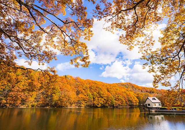 銀山溫泉氤氳．銀山莊×竹泉莊連泊瀲紅楓五日