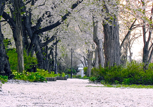 【北海道×東北】東北花宴窕．函館洞爺姿攬山水六日 (仙台進千歲出.新幹線)