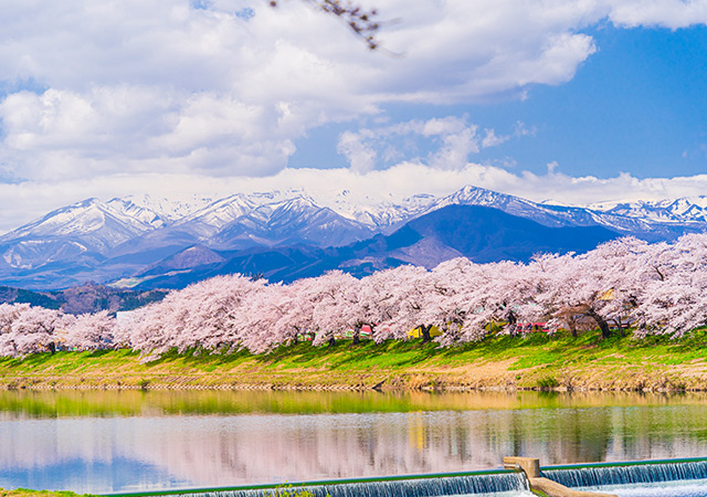 東北新潟春瀲灩．海里稻穗列車．舞孃漫舞花間美學七日