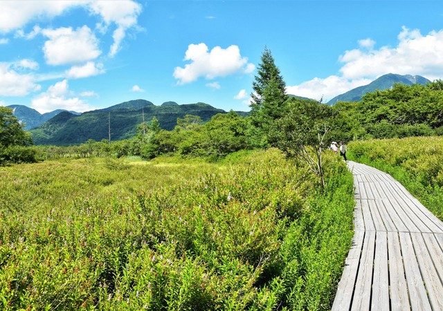 春櫻爛漫日光．鬼怒川溪翠五日