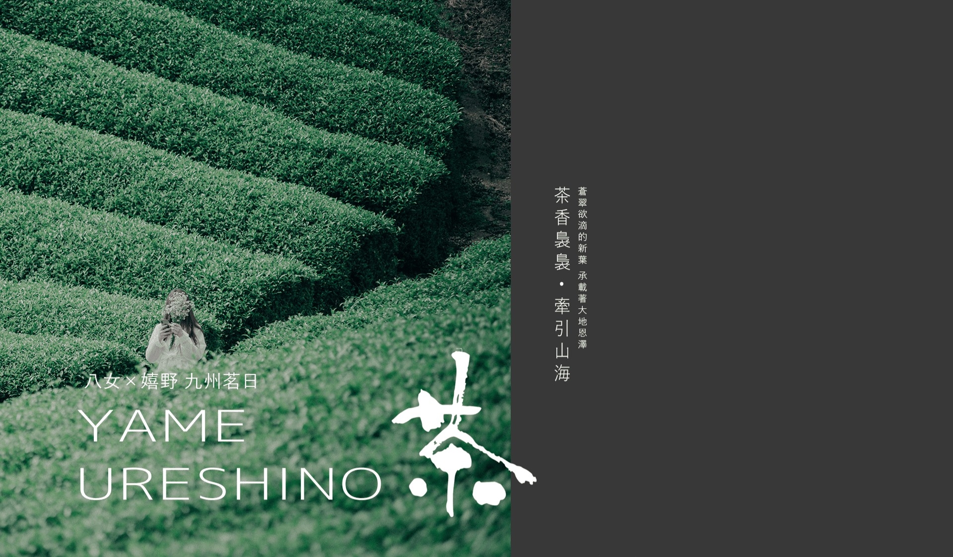 嬉野八十八 × 九州茶香琉璃｜八女玉露．伊萬里燒五日