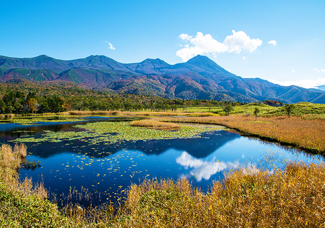 北海道釧路溼原秘境．世界遺產知床半島七日／八日