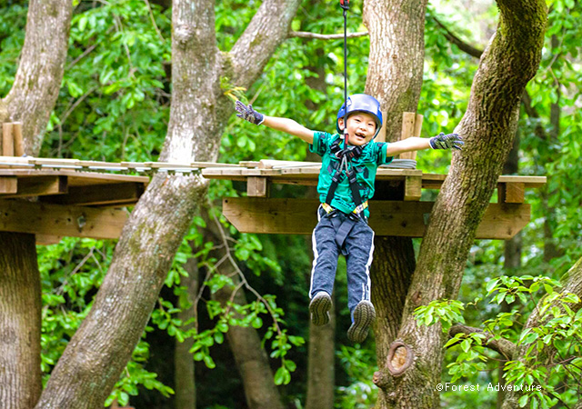 日本環球影城．小隊友大探險．京都嵐山琵琶湖雙湯五日
