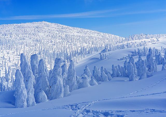 【新推出】銀白雪舞北上線．森吉山樹冰．夢迴銀山溫泉七日
