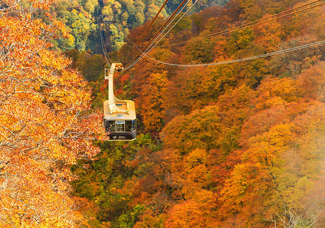 【秋日賞楓限定】紅葉川流清津峽．輕井澤秋沐然然卷六日