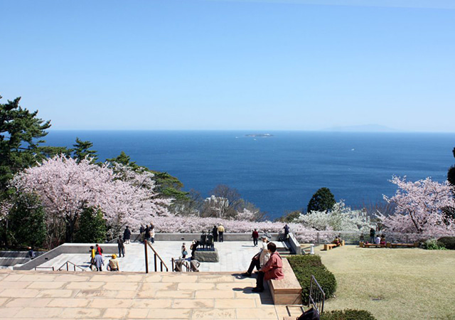 湘南熱海初島・熱海佳久連泊・粉櫻五日