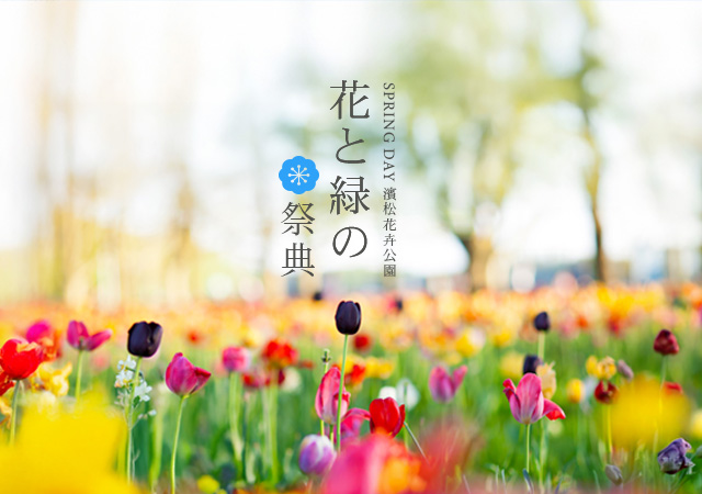 【賞櫻】富士之國靜岡．粉櫻濱名湖花卉節五日