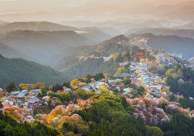 【森林療癒】世界遺產吉野山千本櫻．京都千 × 奈良 FUFU 雙連泊靜旅五日