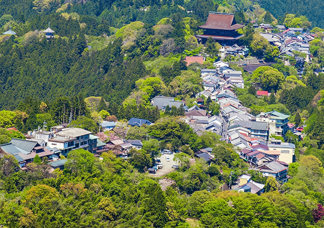 【森林療癒】世界遺產吉野山．京都千 × 奈良 FUFU 雙連泊靜旅五日