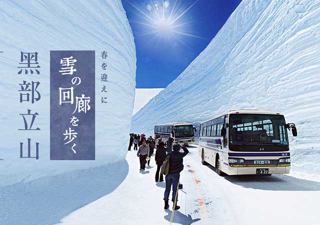 立山黑部雪之大谷．上高地六日