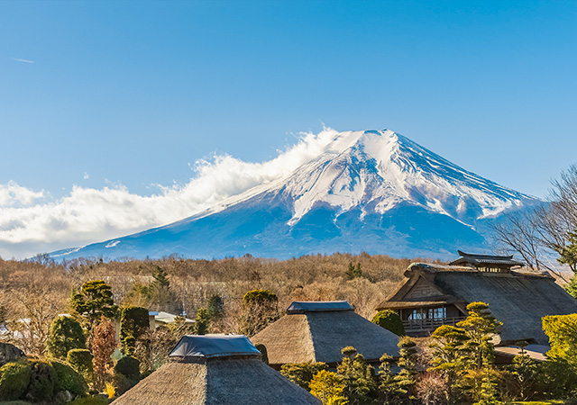 江戶東海道五十三次．富士山花鳥茶薰．連泊靜岡美人湯七日