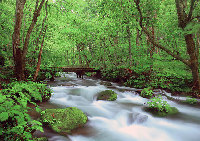 奧入瀨夏曦．北上線．安比高原ANA洲際五日