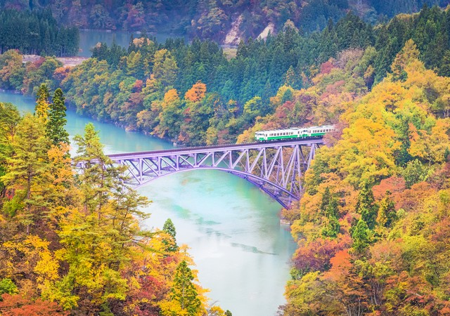只見線夢幻秘境．越後華鳳連泊．FUFU馥府銀座楓彩六日